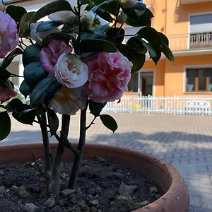 Holiday home Ca Del Fili, Lenno